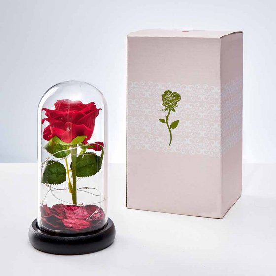 Ewige Rose im Glas