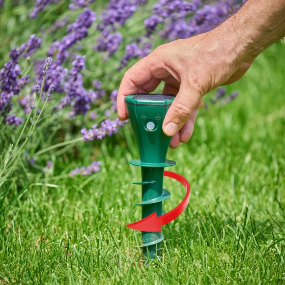 Répulsif solaire contre les campagnols 