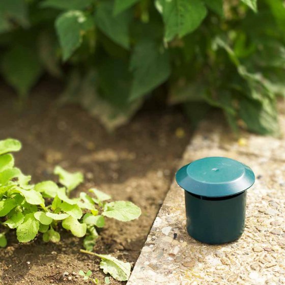 Pièges à limaces vendus par lot de deux 