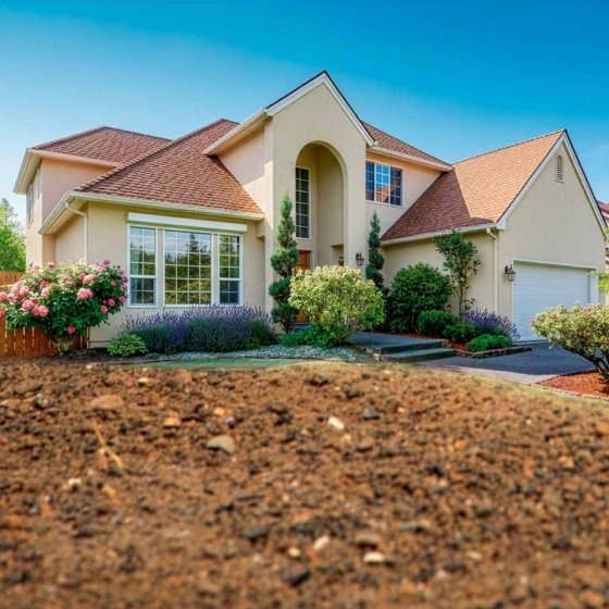 Tapis de semences pour gazon 