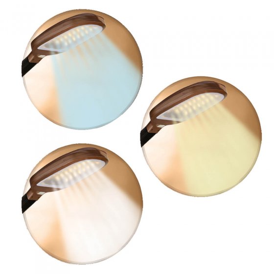 Lampe de table LED lumière du jour