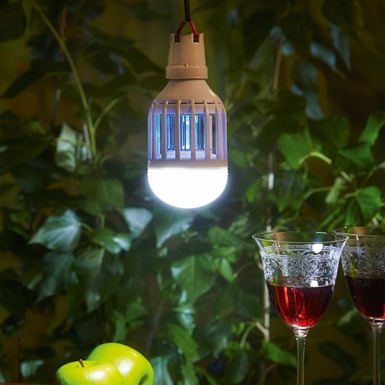 Anti-Mücken-Lampe „2in1”