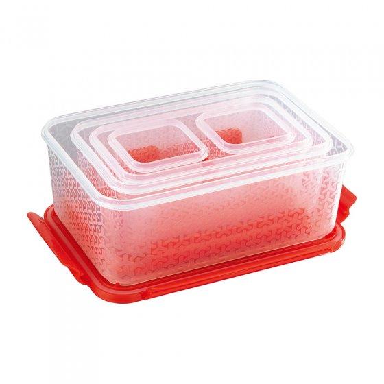 Set compact de boîtes alimentaires 