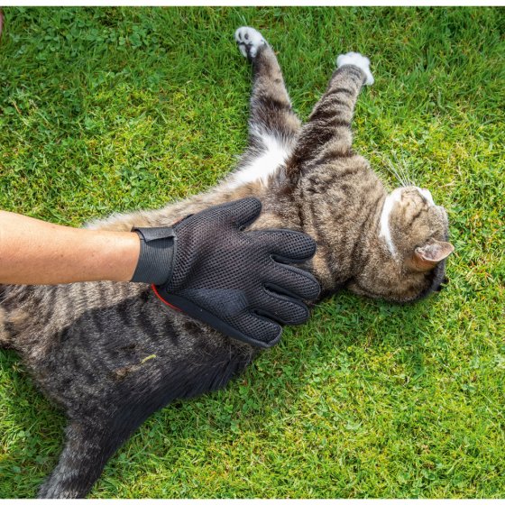 Gant-brosse