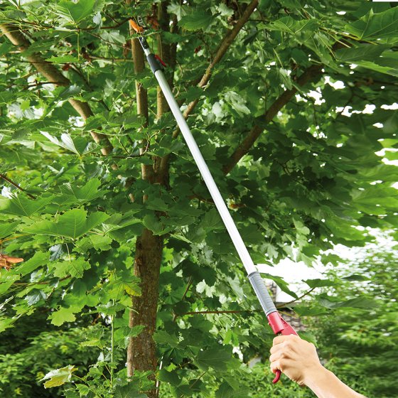 Coupe-branche télescopique avec scie 