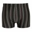 Mikrofaser-Streifenshorts 4er-Pack - 3