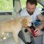 Hunde-Reisetrinkflasche - 3