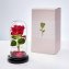 Ewige Rose im Glas - 3