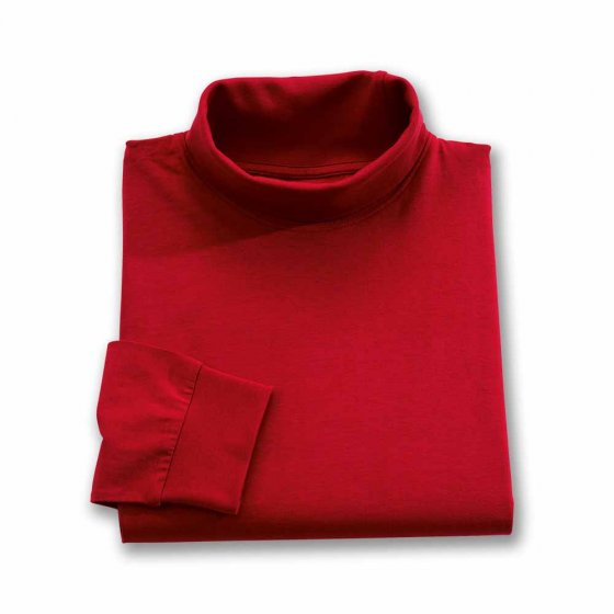 Sous-pulls col roulé