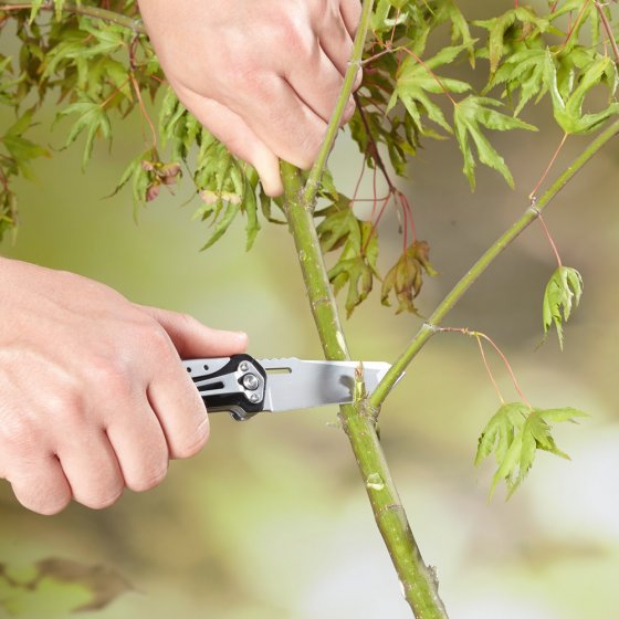 Edelstahl-Messer- und -Schere-Tool 