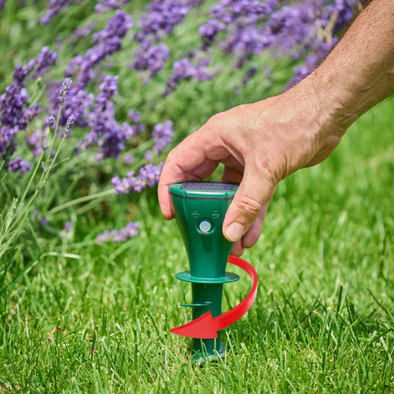 Répulsif solaire contre les campagnols 