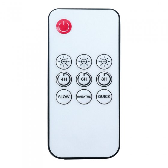 Außen-Lichterkette mit Fernbedinung 