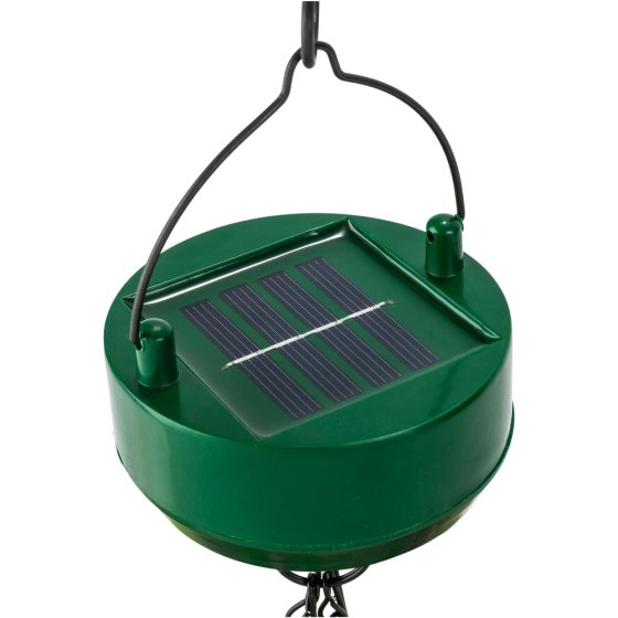 Solar-Hängeblumen "Herbstzauber" 