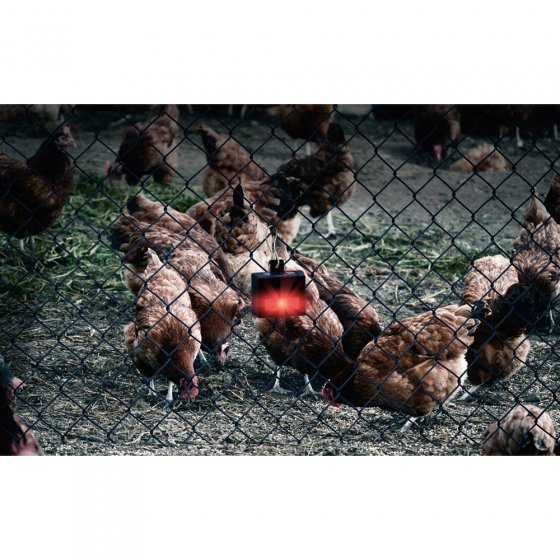 Solar-Wildtierschutz