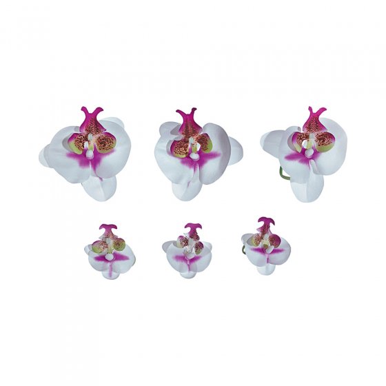 Orchideenblüten-Binder 6er-Set
