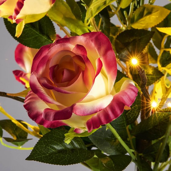 Grand bouquet de roses à LED 