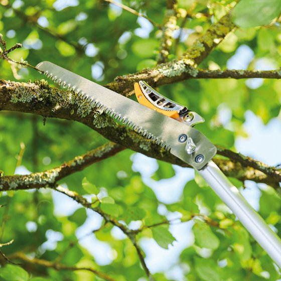 Coupe-branche télescopique avec scie 