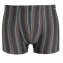 Mikrofaser-Streifenshorts 4er-Pack - 4