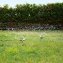 Arroseurs rotatifs de jardin - 4