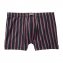 Baumwoll-Retro-Pants im 6er-Set - 4