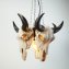 Lampe suspendue  "crânes de Longhorn" - 4
