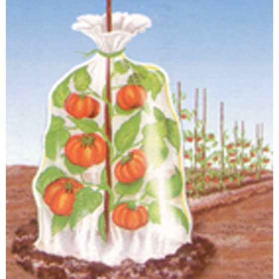Thermobeutel für Pflanzen