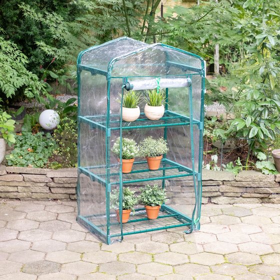 Serre pour plantes 
