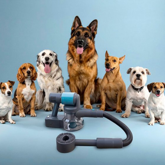 Tierhaar Bürstenset 