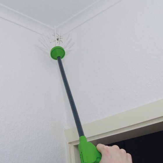 Arachnengreifer 