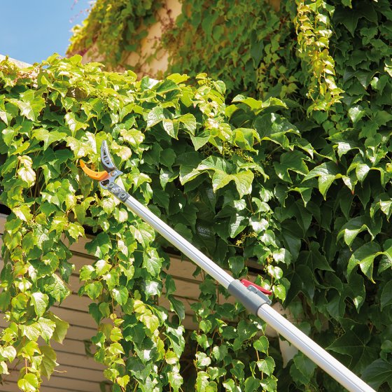 Coupe-branche télescopique avec scie 