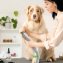Kit de toilettage - 5