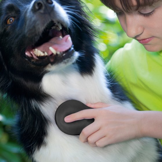 Brosse pour animaux neutralisant les odeurs 