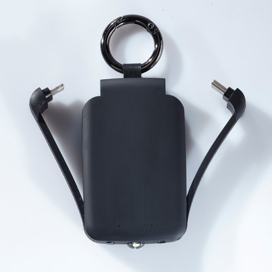 Taschenladegerät