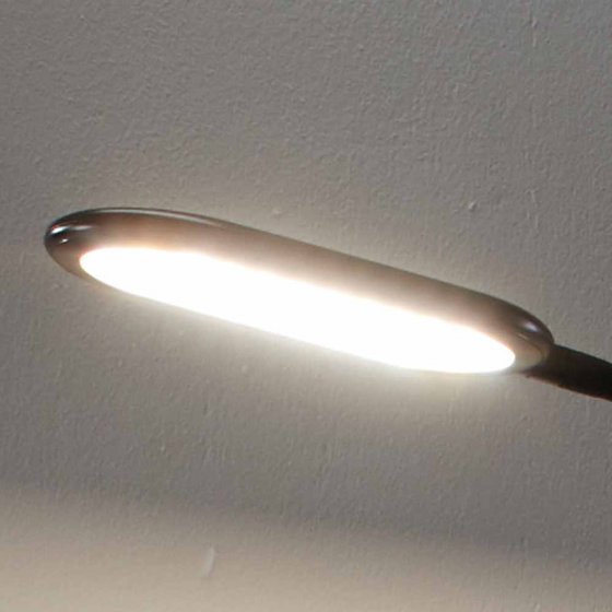 Tischleuchte mit Schwanenhals