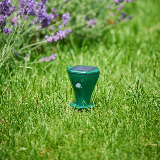 Répulsif solaire contre les campagnols 