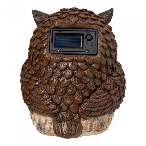 Solar-Eule mit Augenbewegung 