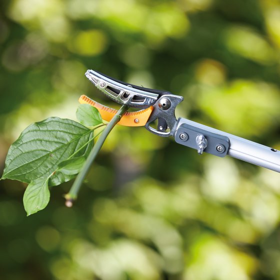 Teleskopierbare Baumschere mit Säge 