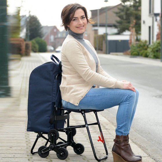 Chariot de courses avec siège 