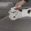 Brosse anti poils - 6