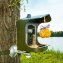 Vogelbeobachtungskamera mit Futterstelle - 6