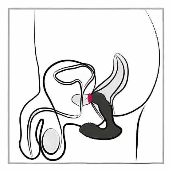 Prostata-Vibrator 