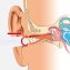 Nettoyeur d'oreille Easy Clean - 7