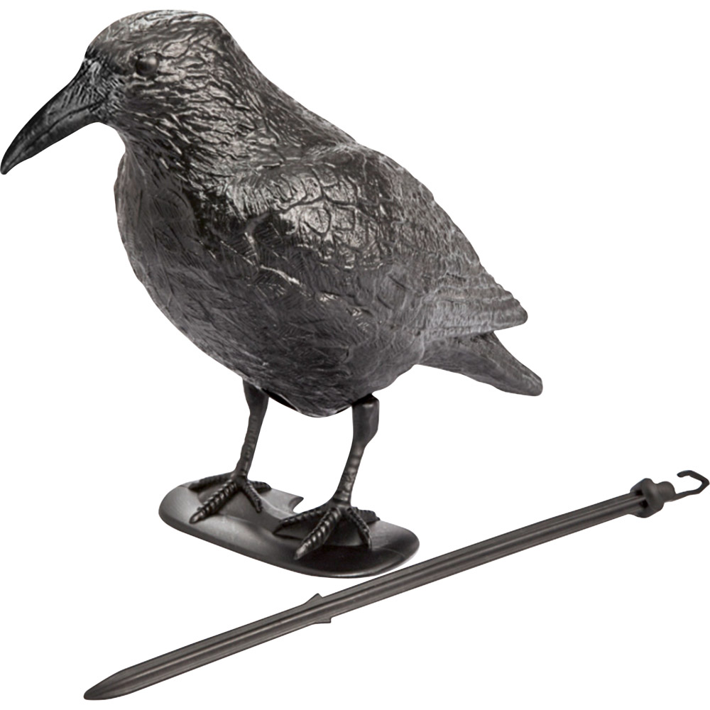 Vogelschreck Vogelschreck